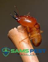 SAMS Termite Control Sydney image 10